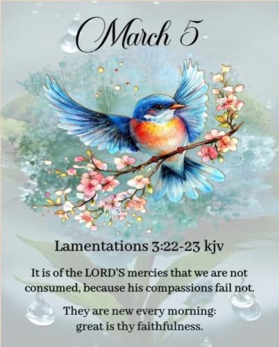 645820953_18044024477743683_2999636812784583724_n