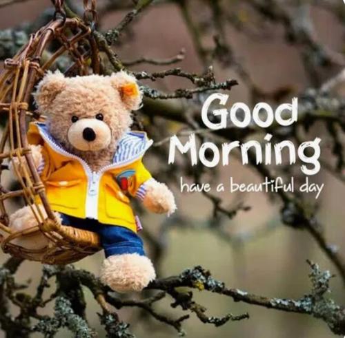 13e5dd3edd4acd7f96db6b960f7c9b34