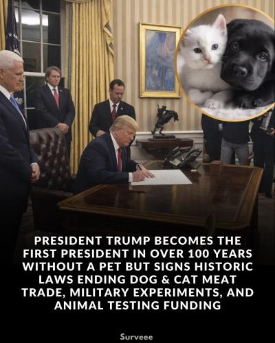 646836188_972337625352621_3403046884614433830_n