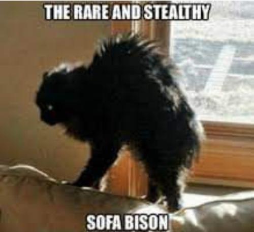 Screenshot_20260307_164945_Gallery