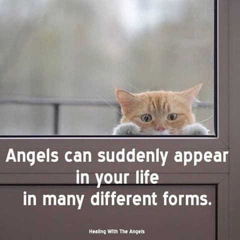 243ada2339709cdc42c6658bb57d9d32