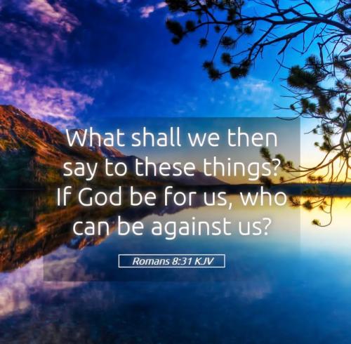 e76acb0e-f22f-4dec-829a-d7b3abca679f