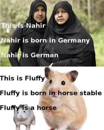 IMG_20260301_192754_260