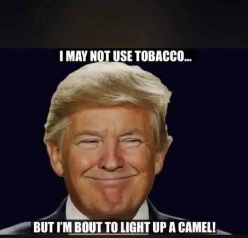 17724493051802991549623375814666_1454608090126512