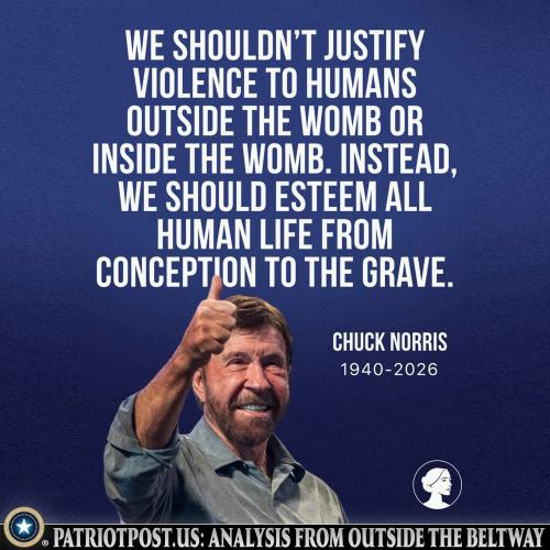 01KMFTZAEMAYCPZXXYG24TXJPX