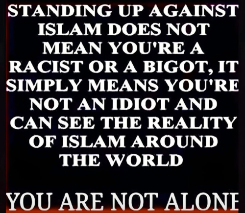 Screenshot_20260315-094859_Wimkin Free Speech Social Media