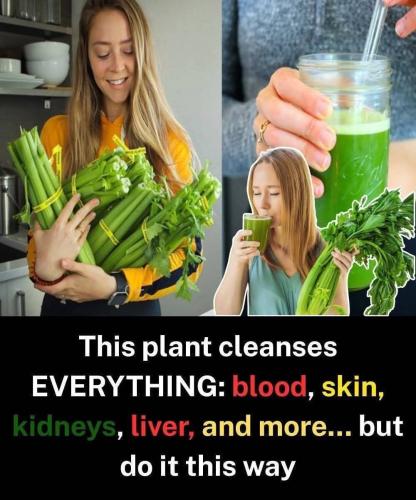 ,                             ,    ,