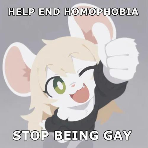 end-homophobia