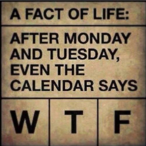 Screenshot_20260305_082657_Gallery