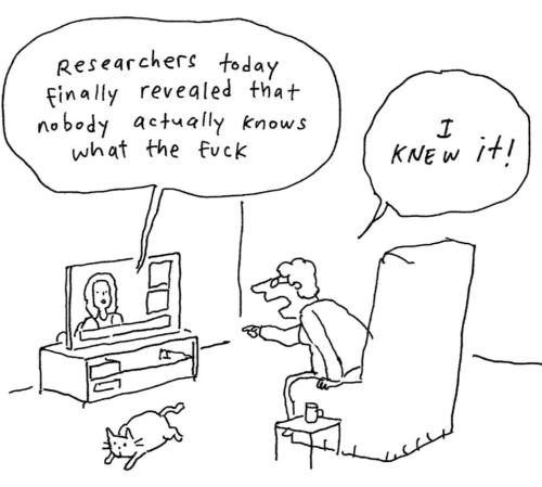 IMG_20260303_032524_731