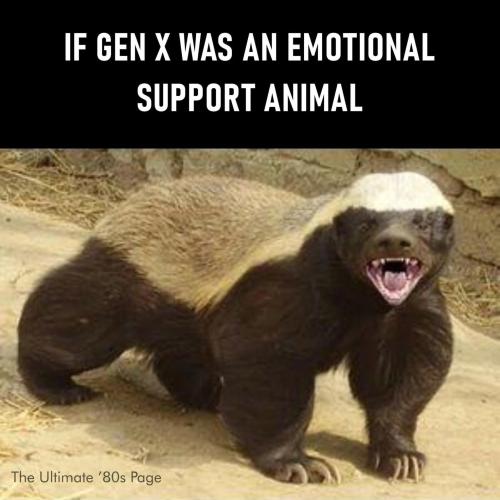 FB_IMG_1773744982387