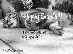 3401de1866d5583d1333cbbaa6db7518