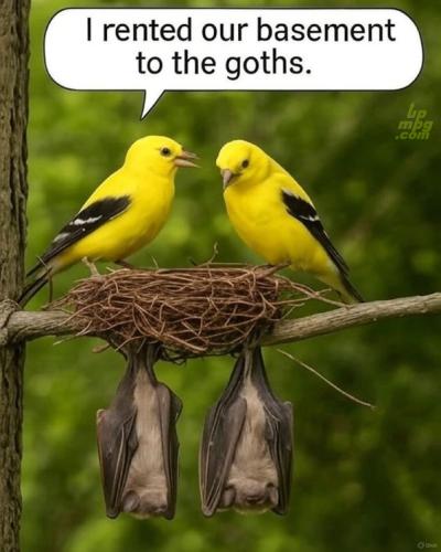 main-qimg-7df86d4bb1b270963a9fda63cbb119ce