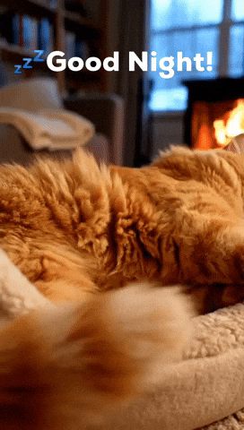 98fb5198-3403-4cb6-bc82-7d4e4026beac