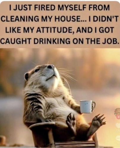 image_7BEAEE41-F2D9-46C3-ACB2-BC568A98558B