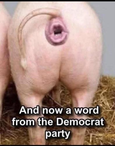 f394ac52-ef6b-413a-b2bf-af746212b5bb