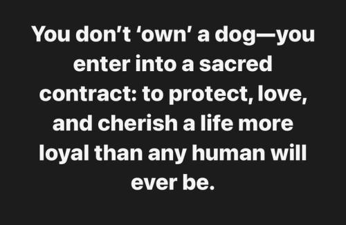 c0cc4870a818d08cf0bed782157c47c7