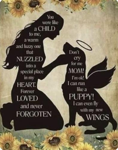 363085-for_a_loving_pet_copy