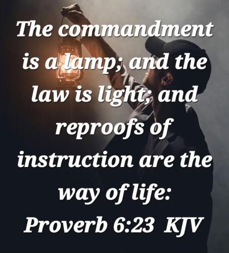 cf1d5181-b293-4f35-a4f2-3acb10bd2d99