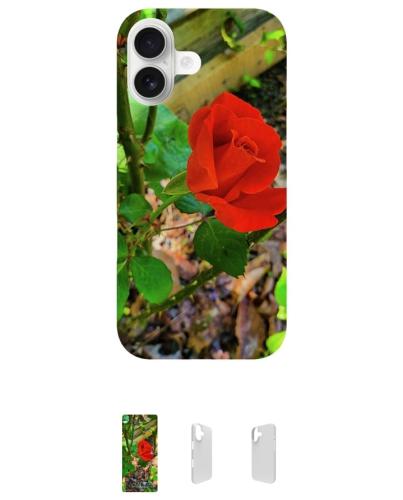 Screenshot_20260305_111258_Brave