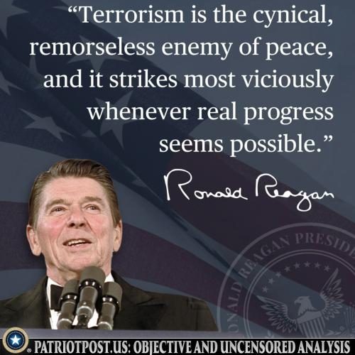 01KKBVZQZWJSB976C233AM93CS