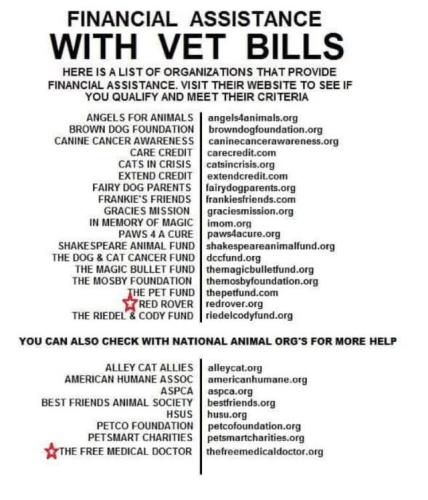 FB_IMG_1758984498176