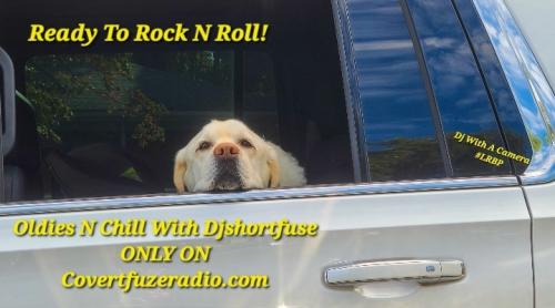 Screenshot_20260313_164659_Gallery