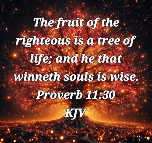 df6b21a7-b5da-4a33-9af4-d278d66c47d7