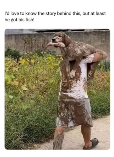 love-know-story-behind-this-but-at-least-he-got-his-fish