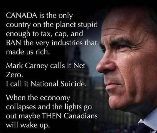 FB_IMG_1774210657337