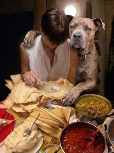 tamale day dubs serious