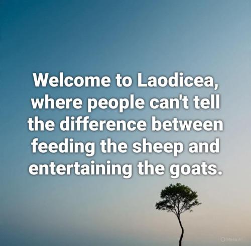 a82f6409-9e96-4fbd-875b-0877179cb27a