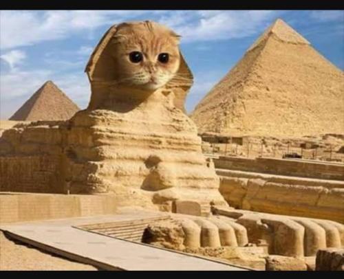 Screenshot_20260416-103103.Chrome~2