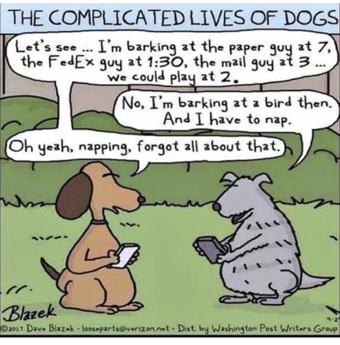 95e1e65b69a2785913c136d7c61d4673