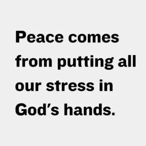 TESTHUB_photos_users_KPBY8Tc46ldqLjWXf6bqxqOW3AR2_-Oozn6hTtjXLA11KXEsQ_img_rsz__1100x1100