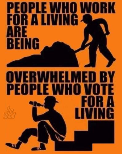 _main-qimg-31abf22f2f2aefddfa794cead32a1664