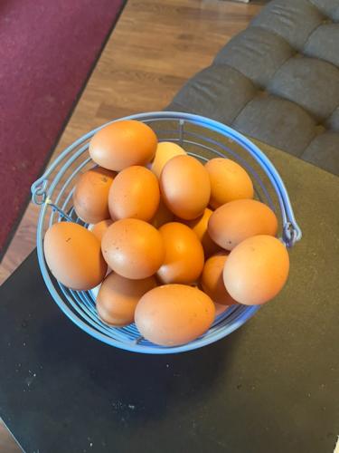 3ABA7065-24AE-464D-BF73-72F7B4C39003