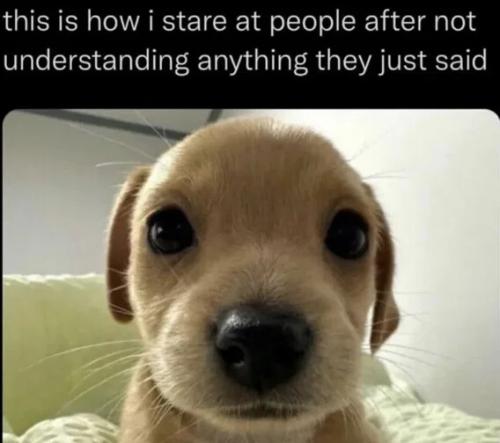 how-i-stare-at-people