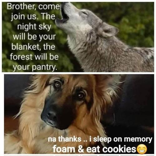 5dcf9fd367397d24205ae9d190c1b342