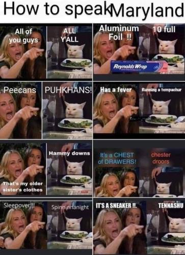 Screenshot_20260422_164957_Gallery