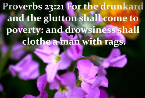 043026 - The Drunkard, Proverbs 23-21