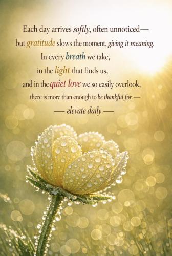 669769872_122174982218826855_2436394821337460824_n