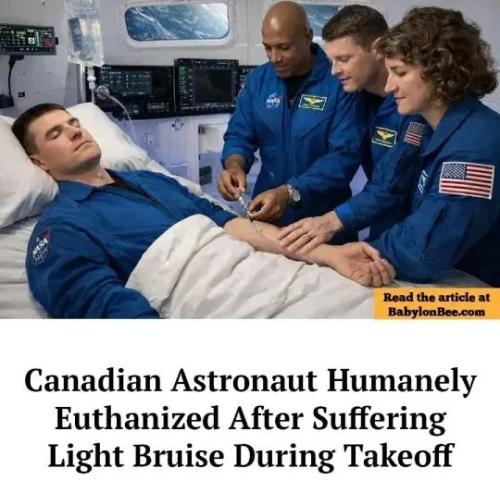 17754688569956939203505268189681_1243788775324225