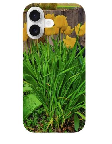 Screenshot_20260406_111301_Brave