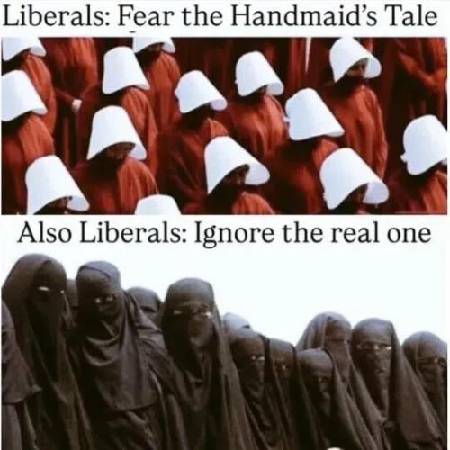 TESTHUB_photos_users_KPBY8Tc46ldqLjWXf6bqxqOW3AR2_-Op5SG8jMA_hQ_vmlMVi_img_rsz__1100x1100