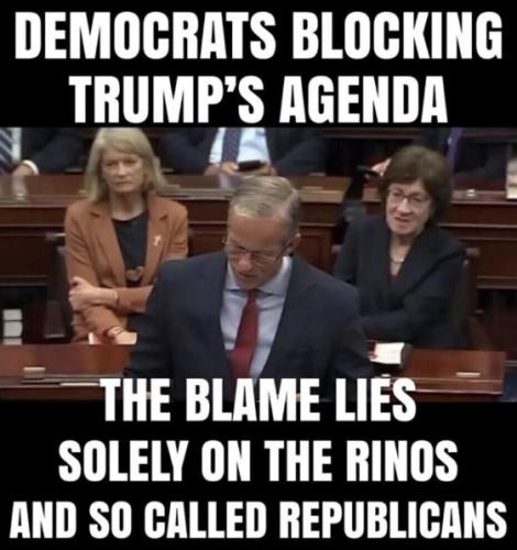 rinos47