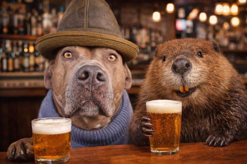 beer and beaver day