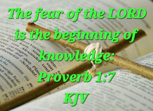 72f9720a-d404-474a-94b9-143ffa4f771a