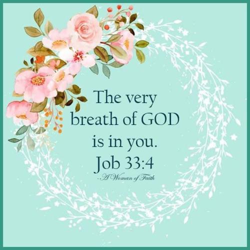 FB_IMG_1777149050240