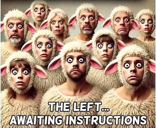 the_left_awaiting_instructions_sheep_dem